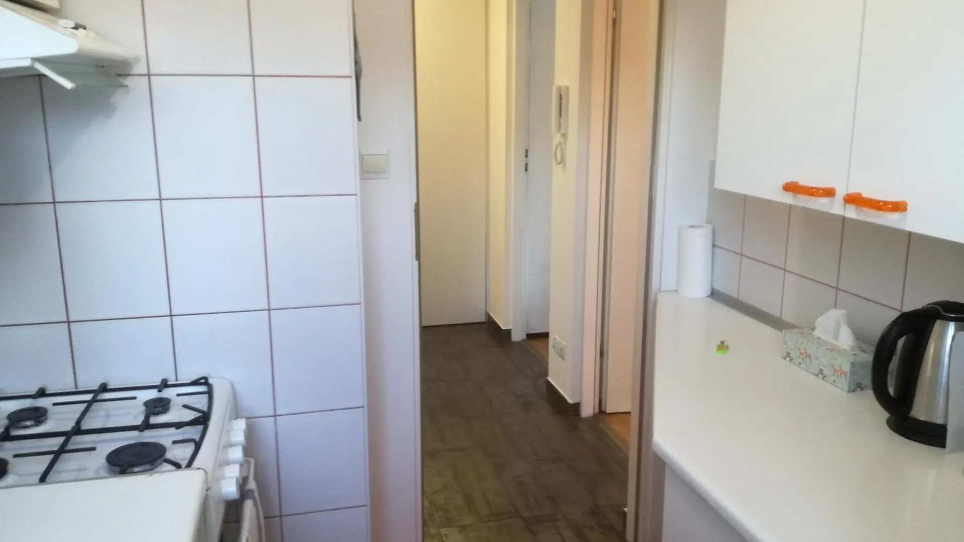 Srebrna Center Apartment 华沙